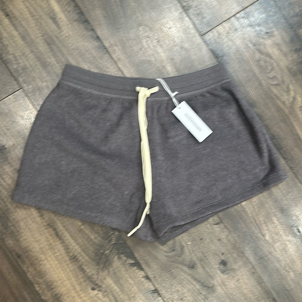 NWT Outerknown Hightide Grey Shorts Size XS